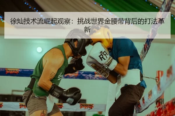 徐灿技术流崛起观察：挑战世界金腰带背后的打法革新